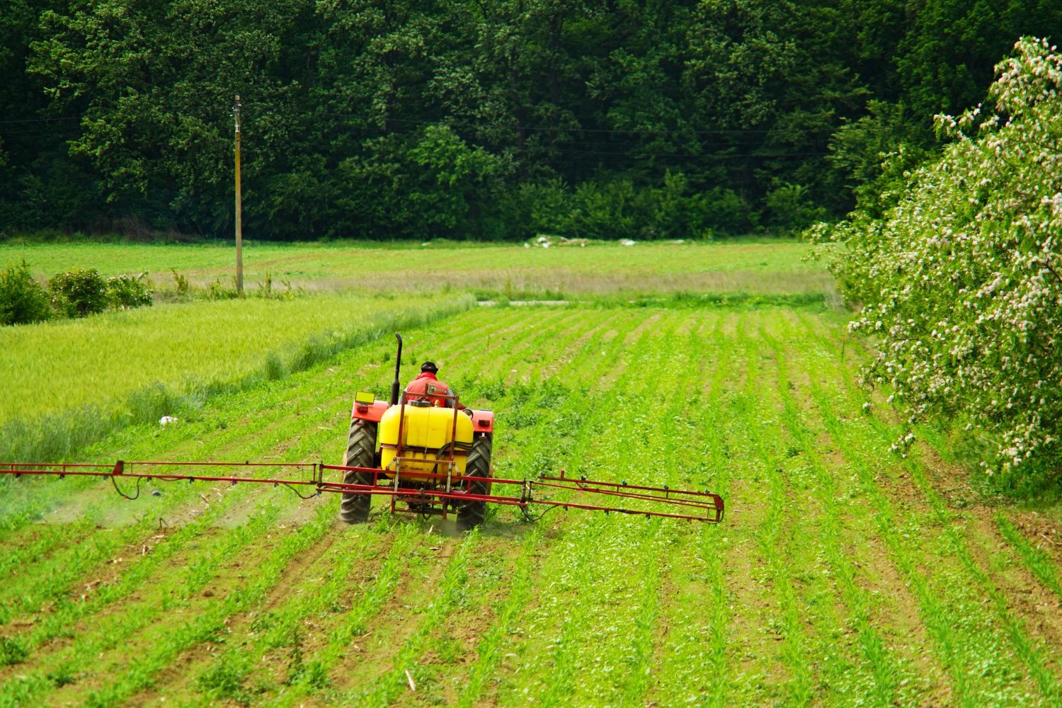 Harvest