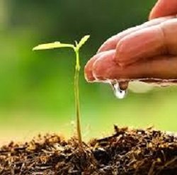 Crop protection