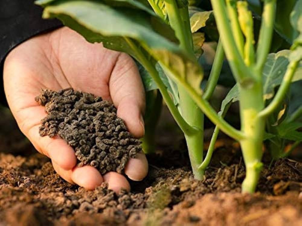 Balanced fertilisation